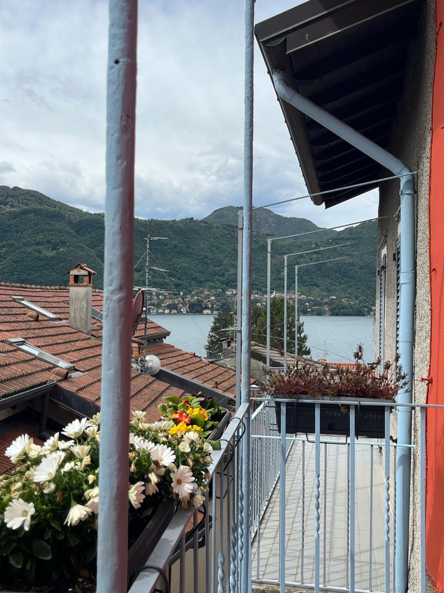 Il Gatto E La Volpe Foresteria Lombarda 列尔纳 外观 照片